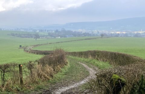 Landelijk pad met heggen, glooiende groene velden en een bewolkte hemel op de achtergrond.