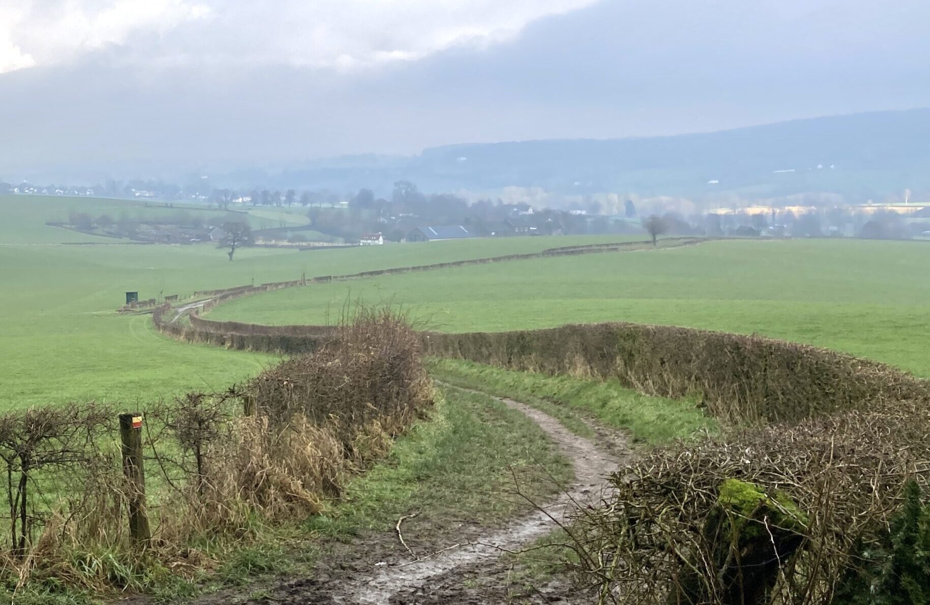 Landelijk pad met heggen, glooiende groene velden en een bewolkte hemel op de achtergrond.
