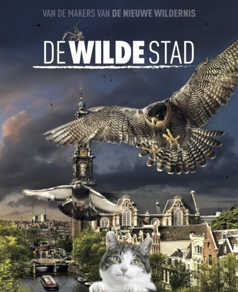 Film poster met een havik, duif en kat boven de skyline van Amsterdam, naast de tekst "De Wilde Stad".