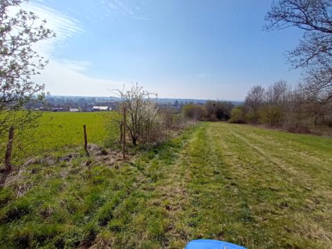 Landschapsweide met bomen, hek en dorp in de verte onder een heldere blauwe lucht.