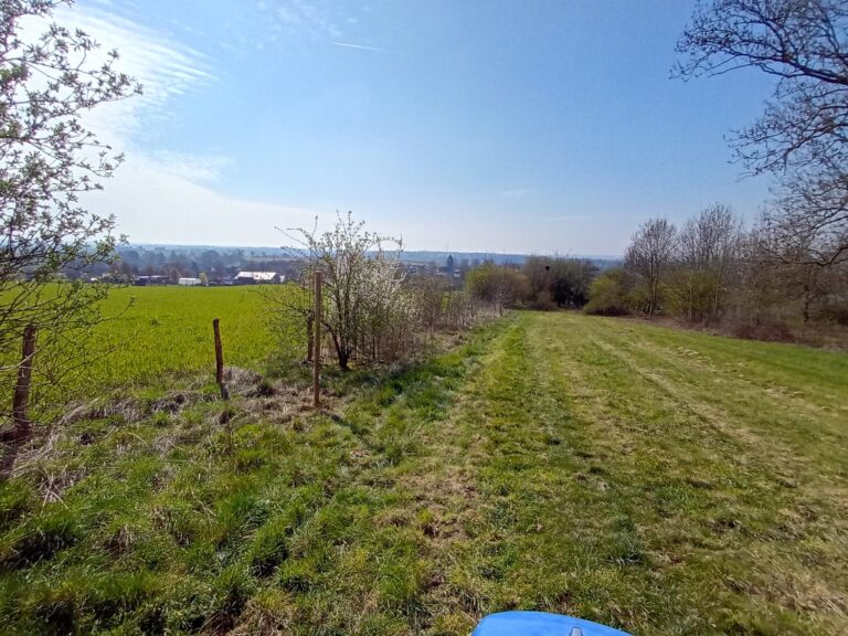 Landschapsweide met bomen, hek en dorp in de verte onder een heldere blauwe lucht.