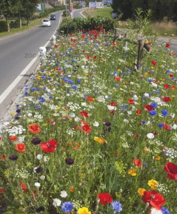 Fleurige bloemenberm bloemtuintjesactie