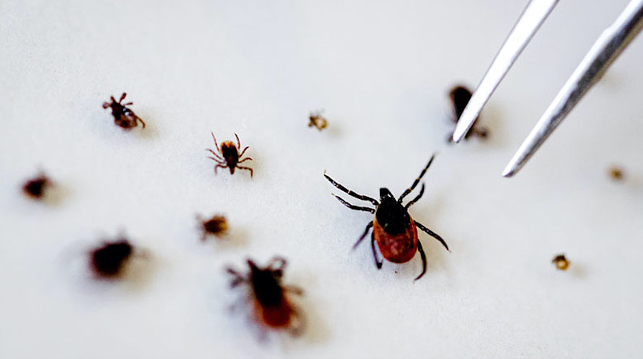 Het wordt weer teken-tijd