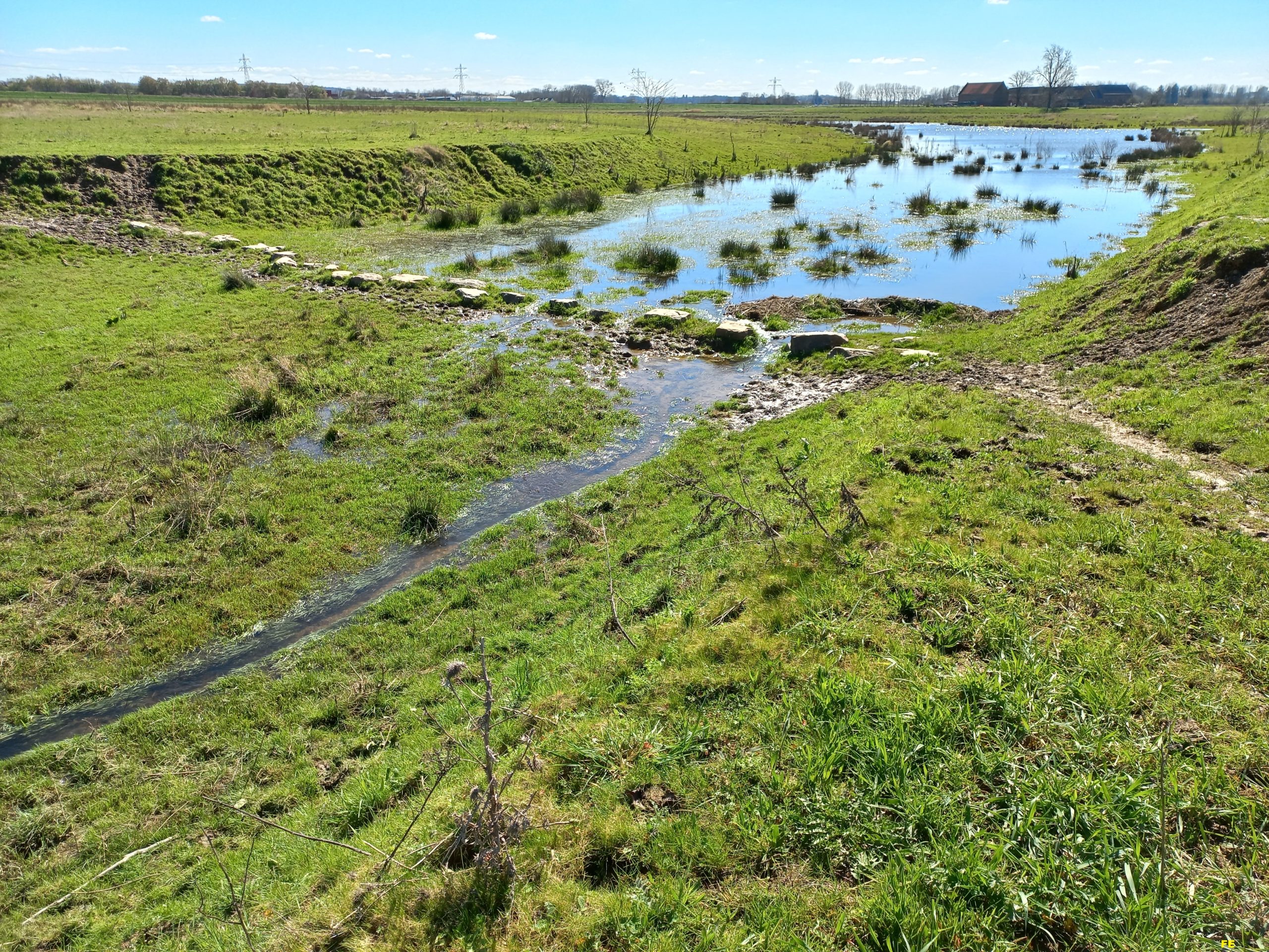 Een kronkelende beek door een groen weiland onder een heldere blauwe lucht.