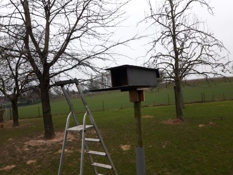 Nestkasten plaatsen door vogelwerkgroep
