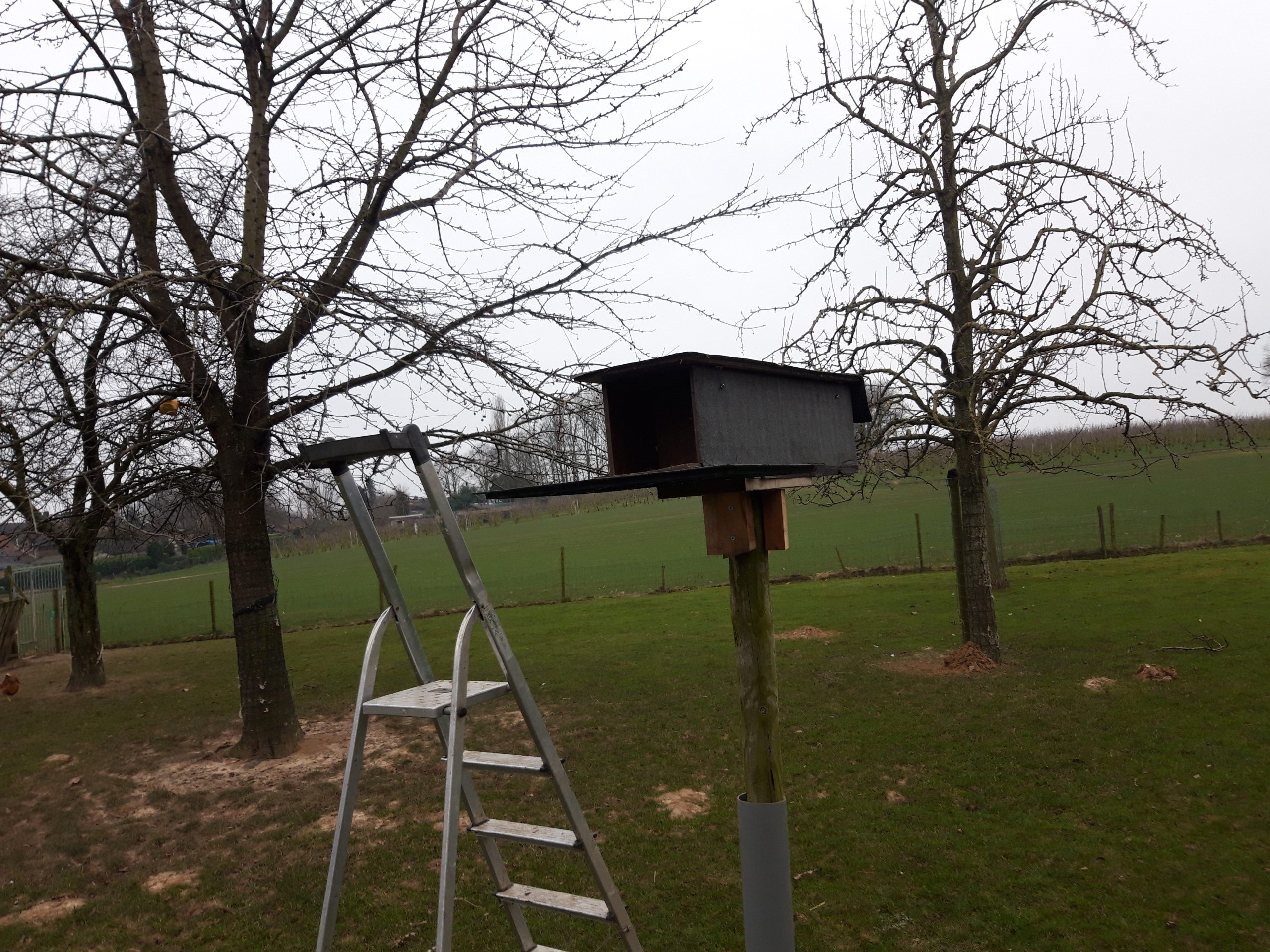 Nestkasten plaatsen door vogelwerkgroep