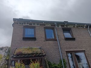 Huiszwaluwnesten bij Jan de Veen
