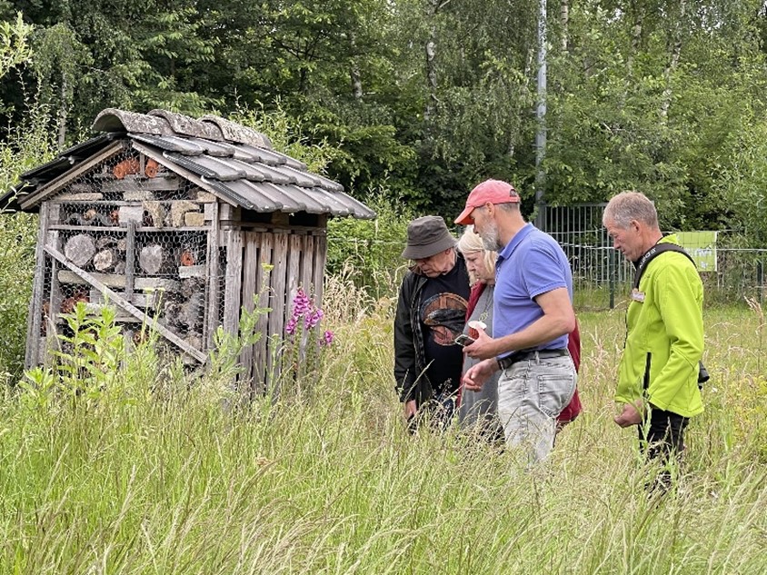 Vier mensen bestuderen een insectenhotel in een groene, bosrijke omgeving.