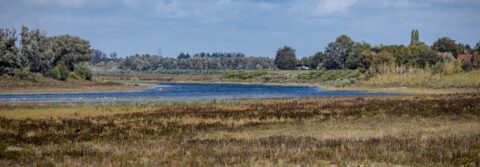 Weids landschap met rivier, omringd door grasland en bossen onder een bewolkte hemel.