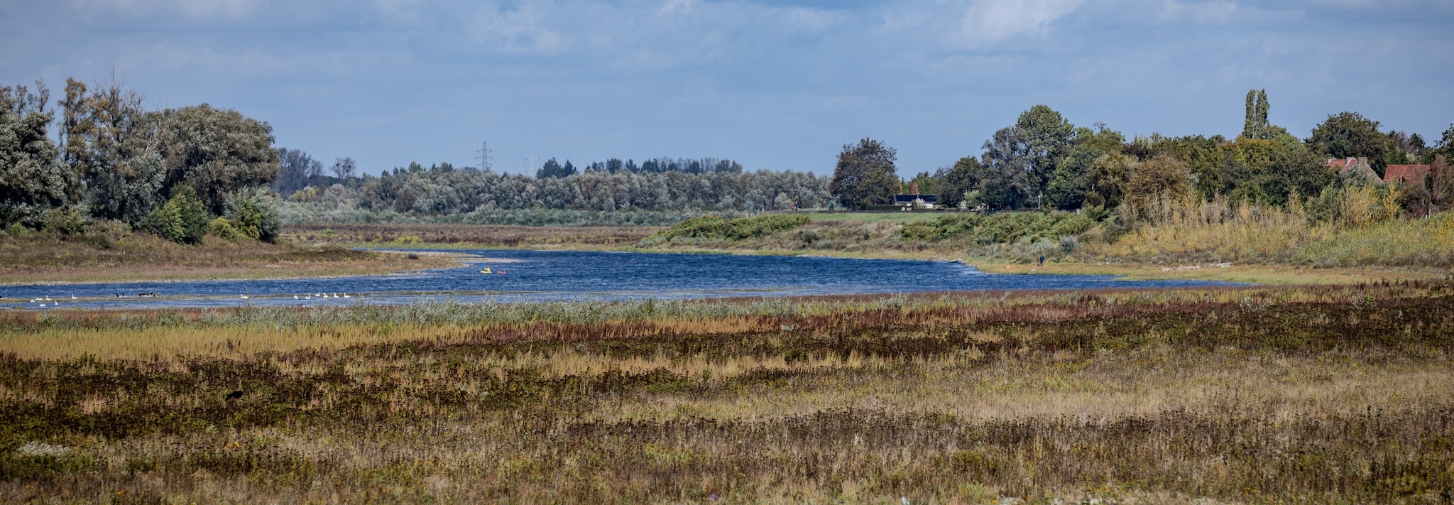 Weids landschap met rivier, omringd door grasland en bossen onder een bewolkte hemel.