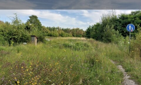 Groen wandelpad met bloemen, omgeven door bomen. Verkeersbord voor voetgangers rechts.