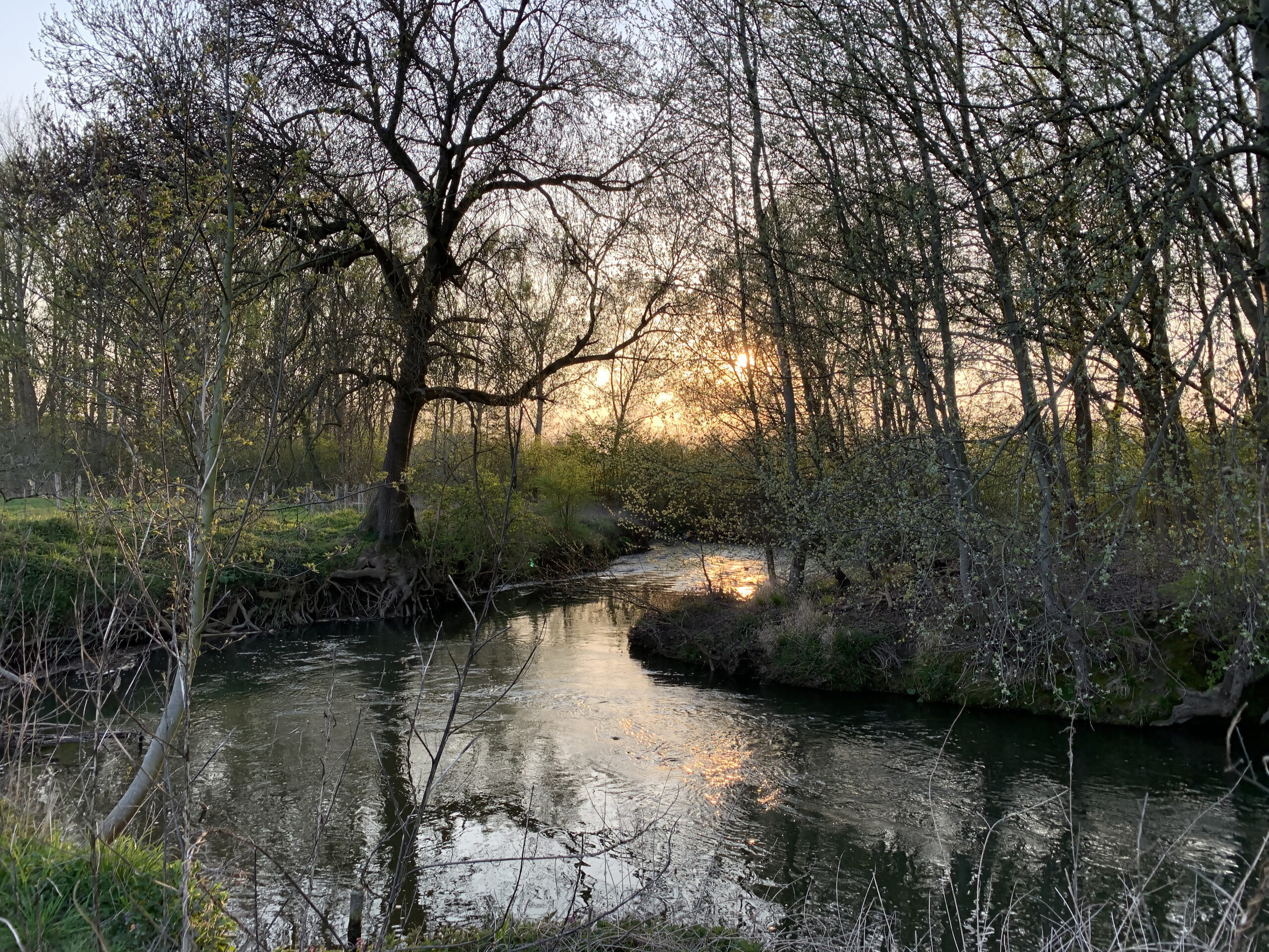 Rivierlandschap bij zonsondergang met bomen, reflecties in het water en een helder, kalm uitzicht.
