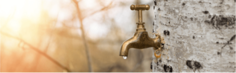 Kraan gemonteerd op een boomstam met zonlicht op de achtergrond.