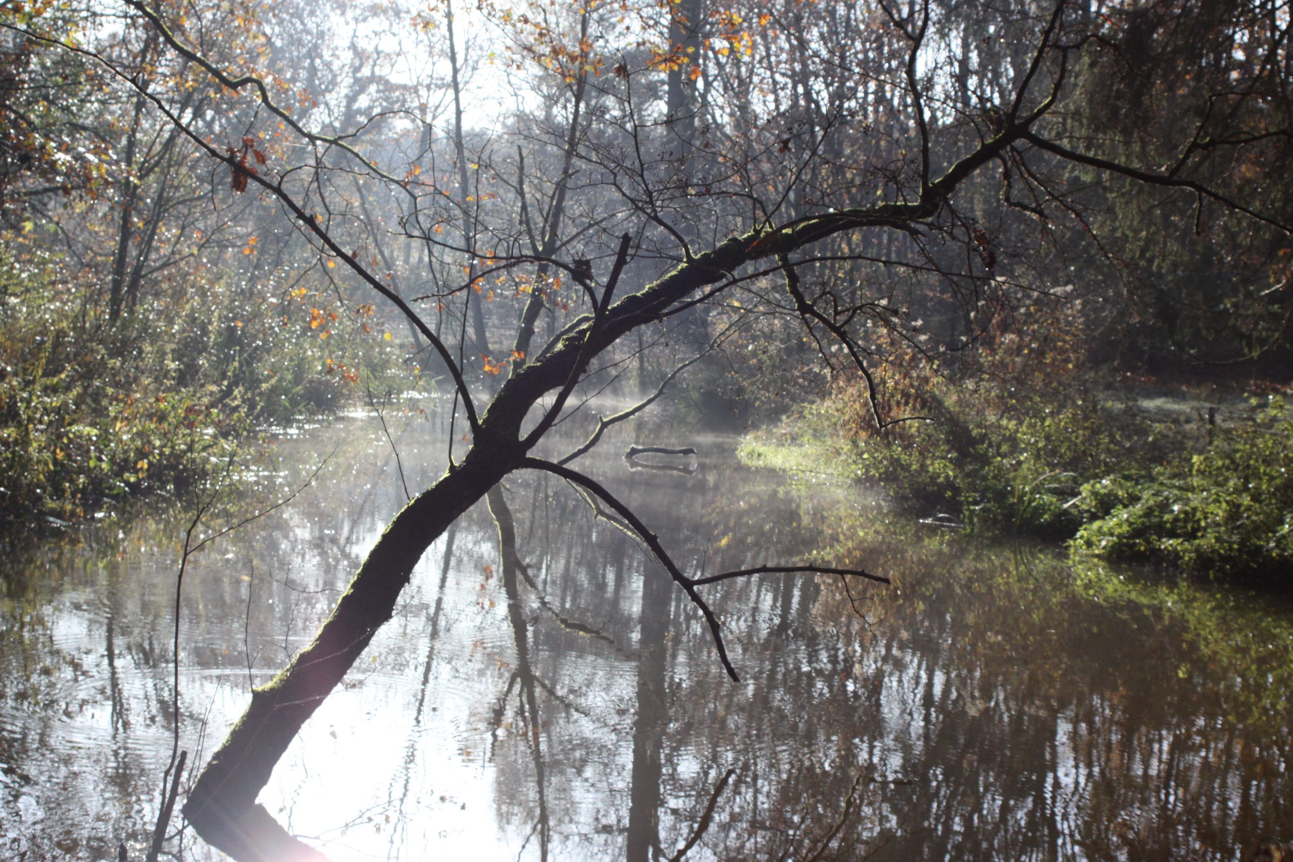 Leudal beek