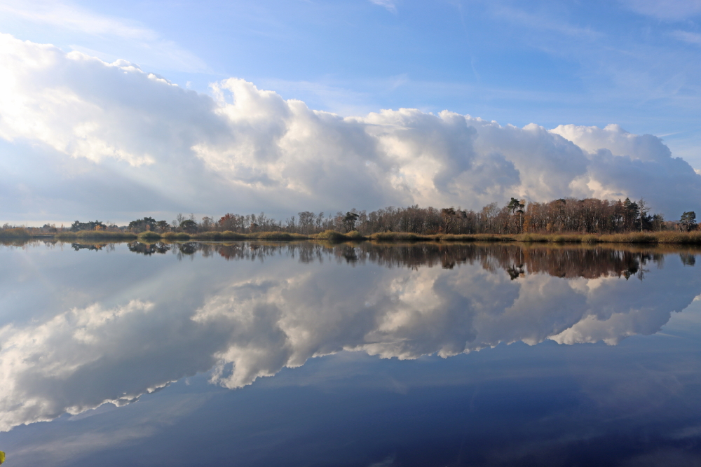 Stil meer reflecteert grote, witte wolken en een smalle strook bomen aan de horizon.