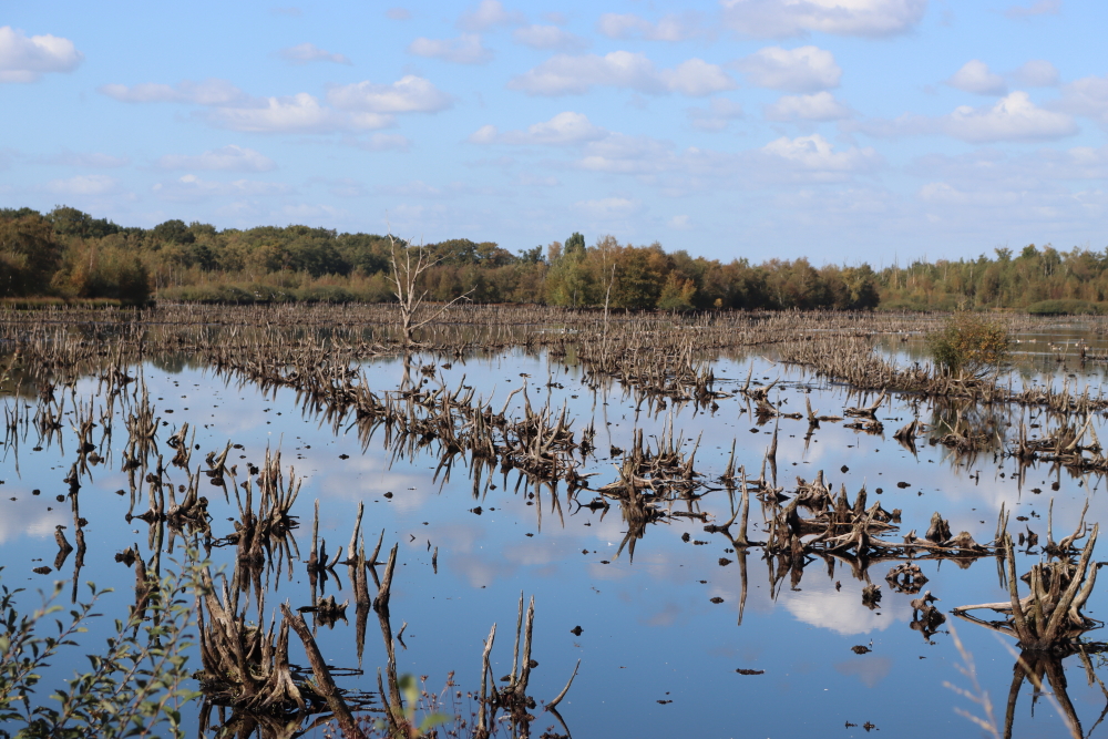 Natter maar geen hoogveen