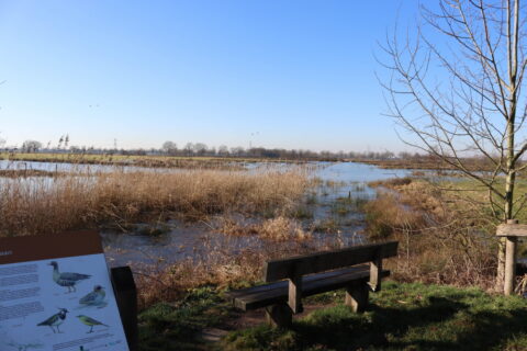 Rivierlandschap met graslanden, een houten bankje en een informatiebord over vogels.