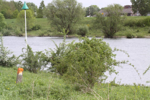 Rivier met groene oevers, een baken met groene top en struiken op de voorgrond.