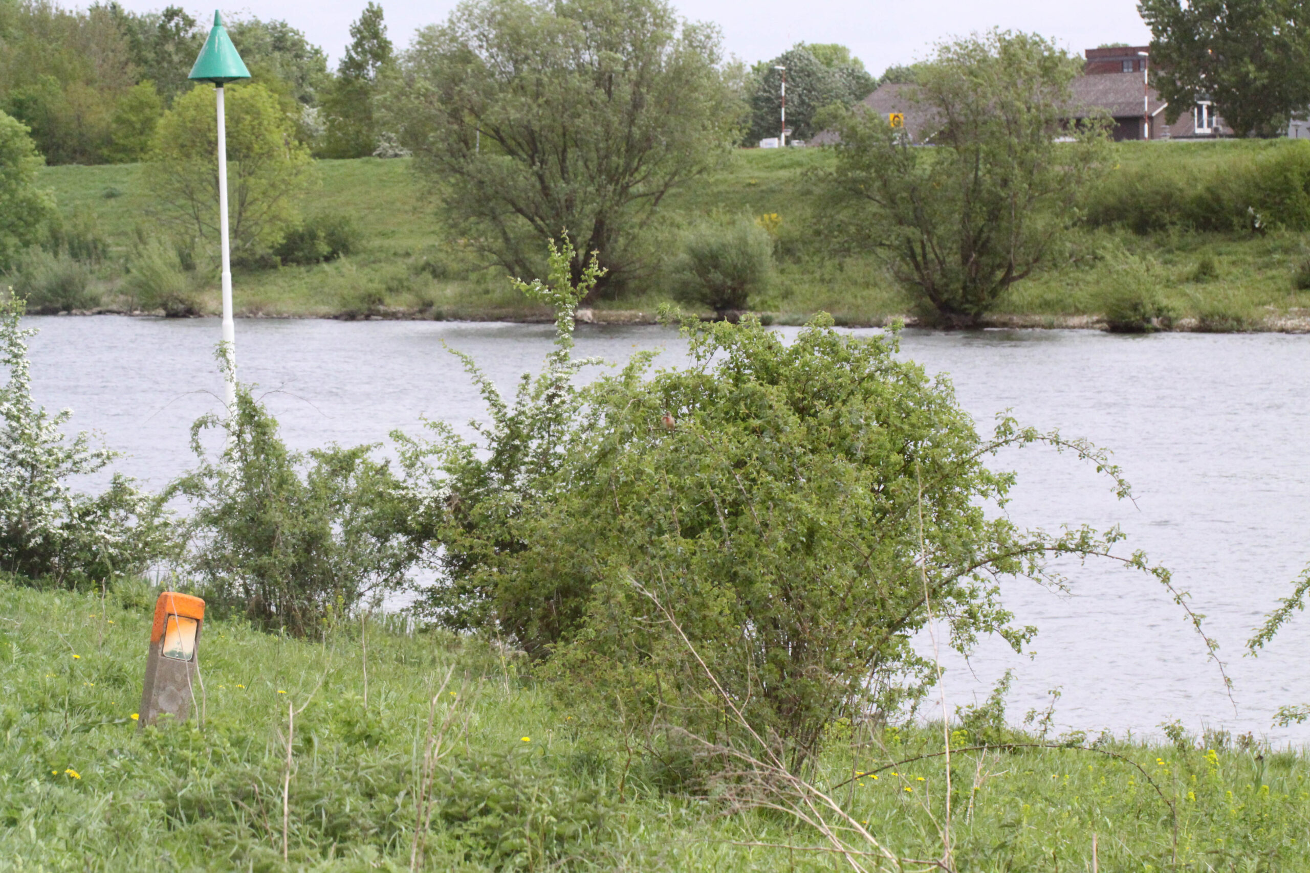 Rivier met groene oevers, een baken met groene top en struiken op de voorgrond.