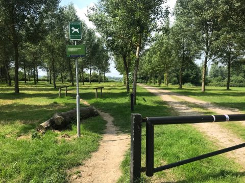 Graspad met bomen, bord voor uitrenveld voor honden, omgeven door groen.