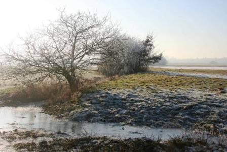 Winter in de Bossche broek IVN wandeling