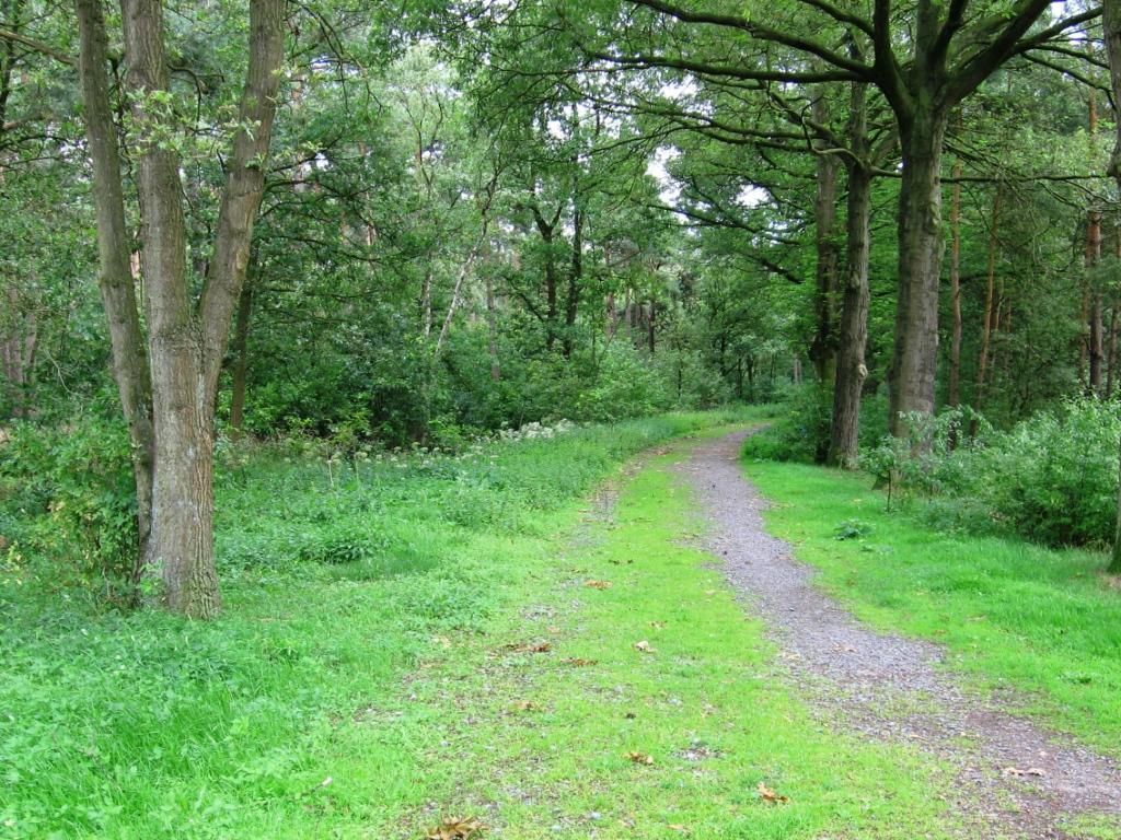 Mariaburgbos IVN Den Bosch