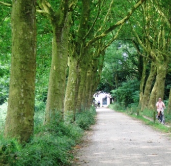 haanwijk