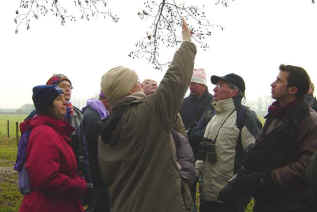 buitenles_Basisnatuurcursus