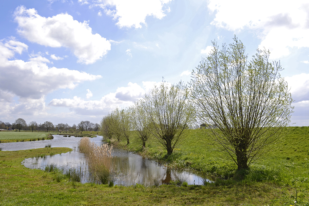 Platteland met een kronkelende beek, wilgen en een deels bewolkte hemel.