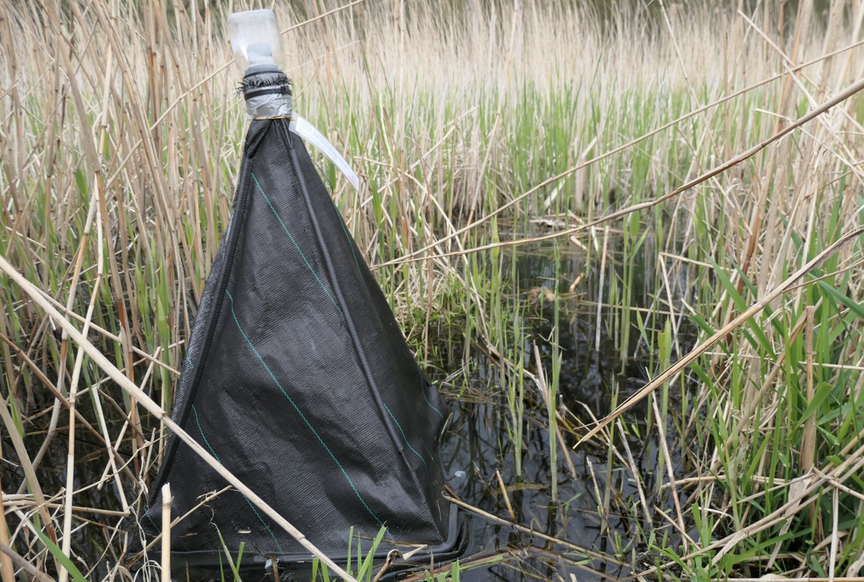 Kegelvormige val in grasland moerasbiotoop, gebruikt voor water- of gasbemonstering.