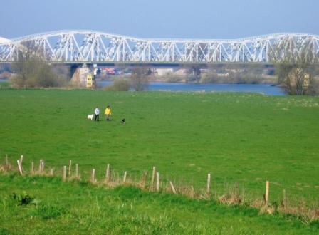 Twee mensen en honden op een grasveld met een brug en rivier op de achtergrond.