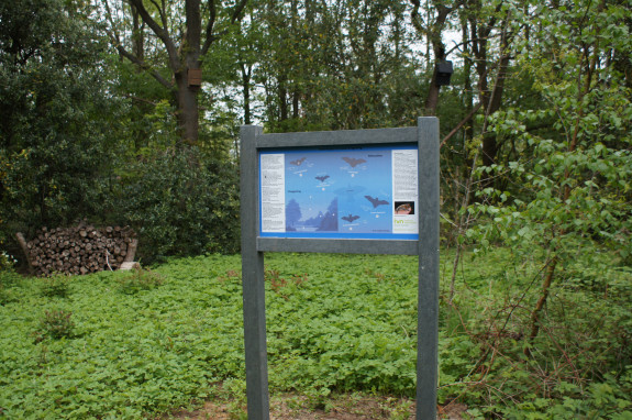 Vlinderkamp