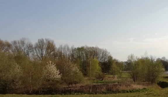 Vlinderkamp