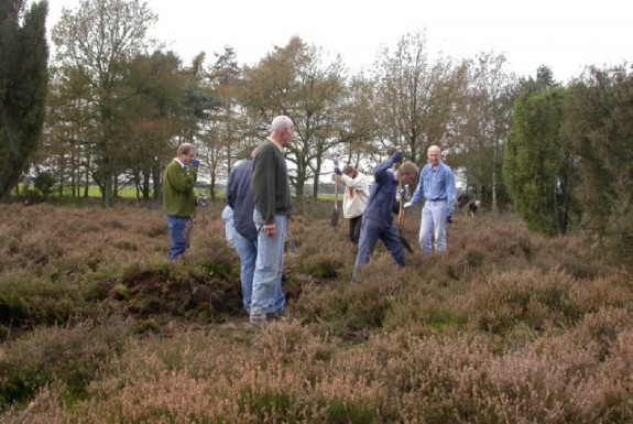 natuurbeheer