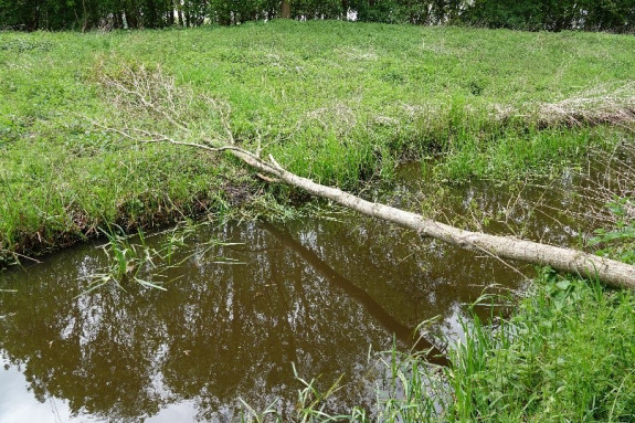 Boom over water door bever