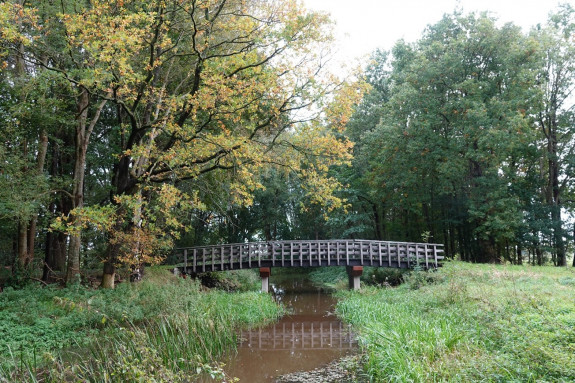 bruggetje herfst
