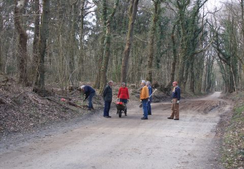 Vernieuwde paaltjes in Zwanemeerbos
