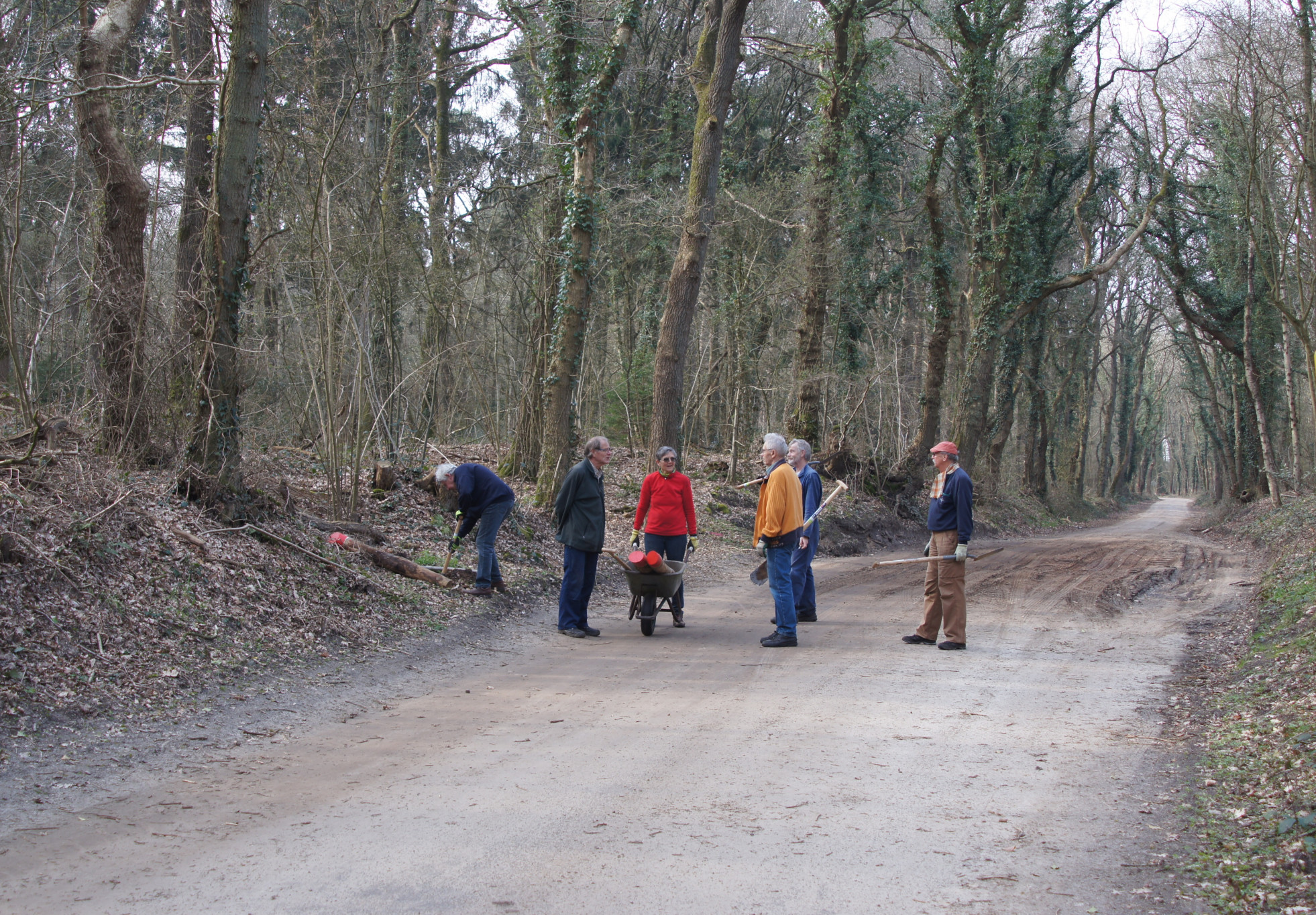 Vernieuwde paaltjes in Zwanemeerbos