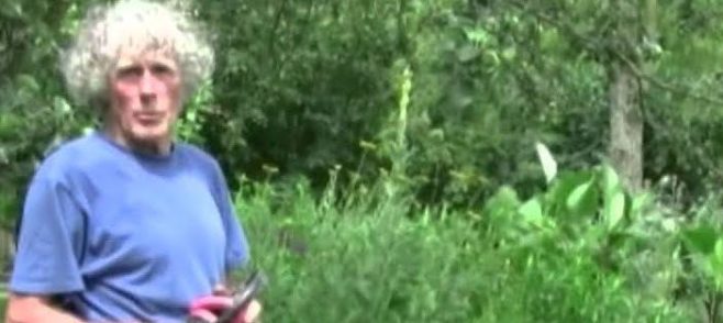 Persoon met krullend haar in blauwe trui in groene tuin, houdt een snoeischaar vast.