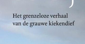 Tekst op blauwe achtergrond: "Het grenzeloze verhaal van de grauwe kiekendief".