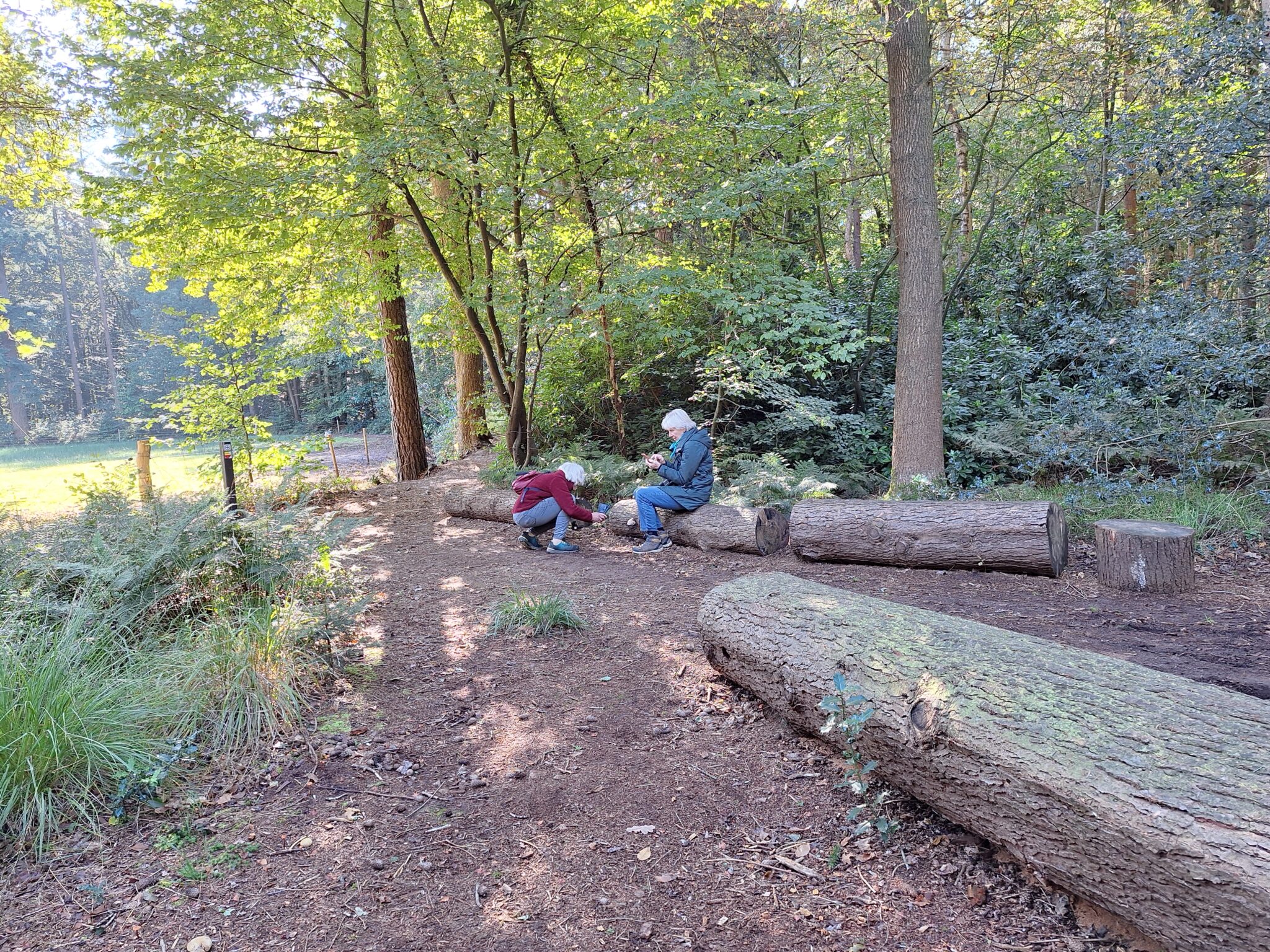 Twee mensen zitten op boomstammen in een bosrijke omgeving.