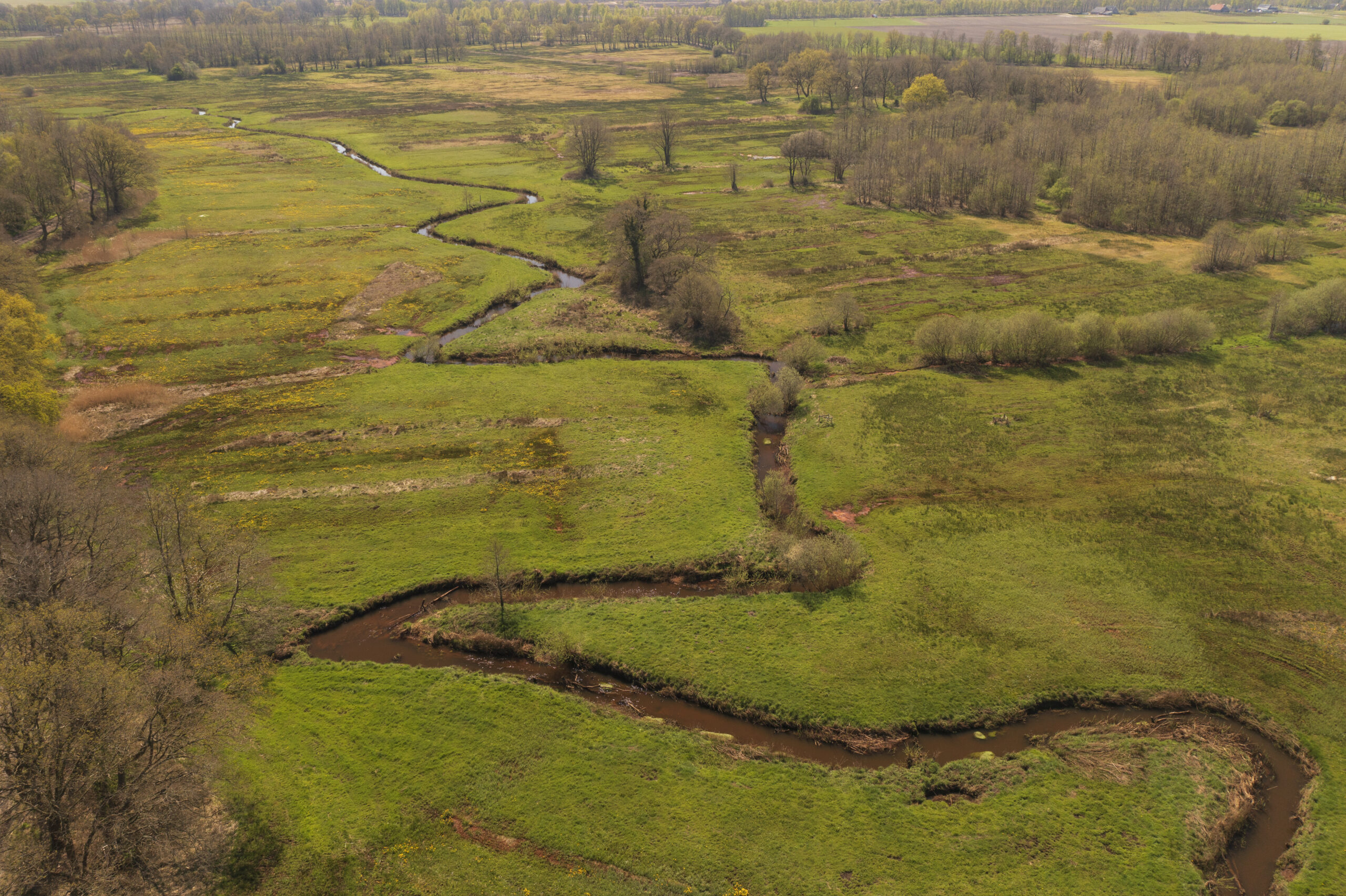 Luchtfoto van kronkelige beek door groen landschap met bos op de achtergrond.