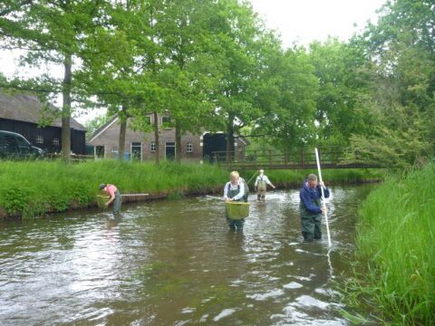 Mensen in waadpakken onderzoeken een beek, omgeven door groene natuur en boerderijen.