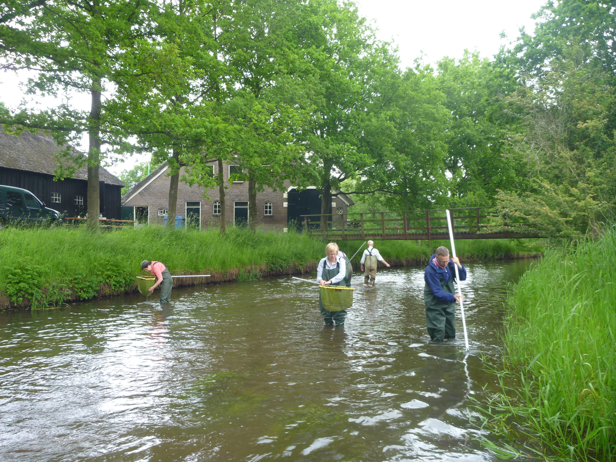 Mensen in waadpakken onderzoeken een beek, omgeven door groene natuur en boerderijen.