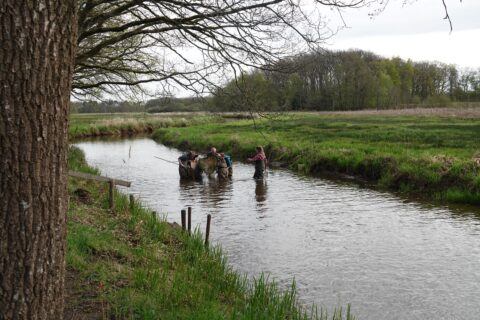 Vier mensen staan in een ondiepe beek, omringd door groen landschap.