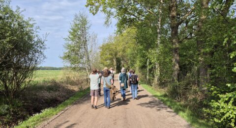 Groep mensen wandelt op een landweg omgeven door groene bomen en velden onder een blauwe hemel.