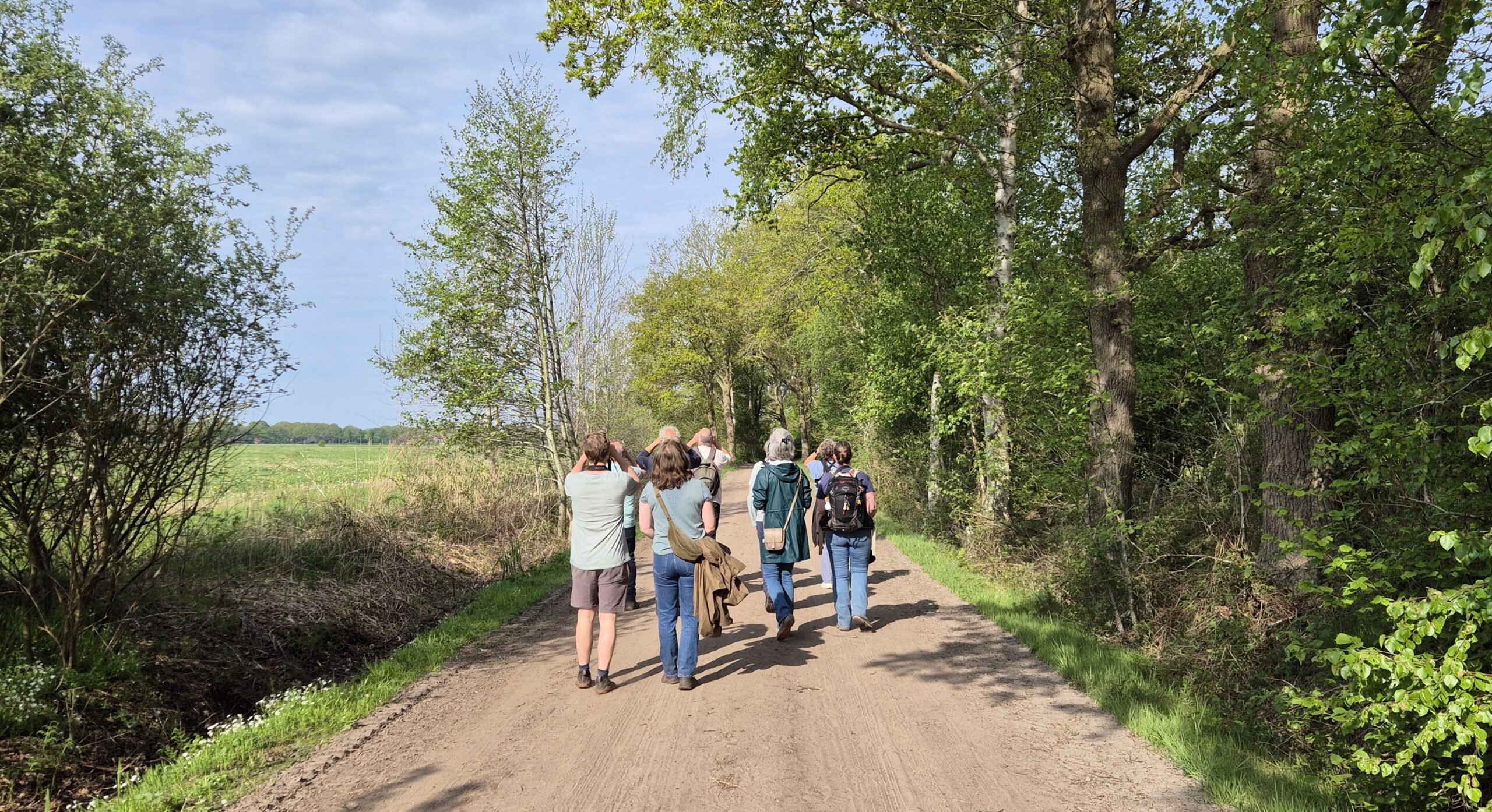 Groep mensen wandelt op een landweg omgeven door groene bomen en velden onder een blauwe hemel.