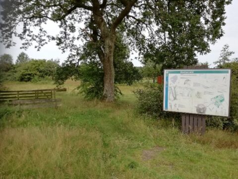 Bord met wandelinformatie naast een boom in een groen natuurgebied.