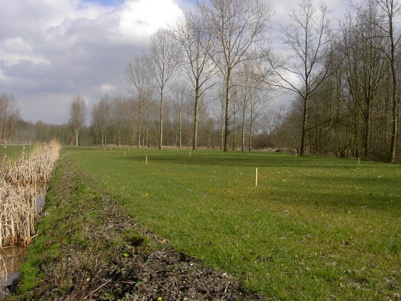 boomtuin nog niet gerealiseerd