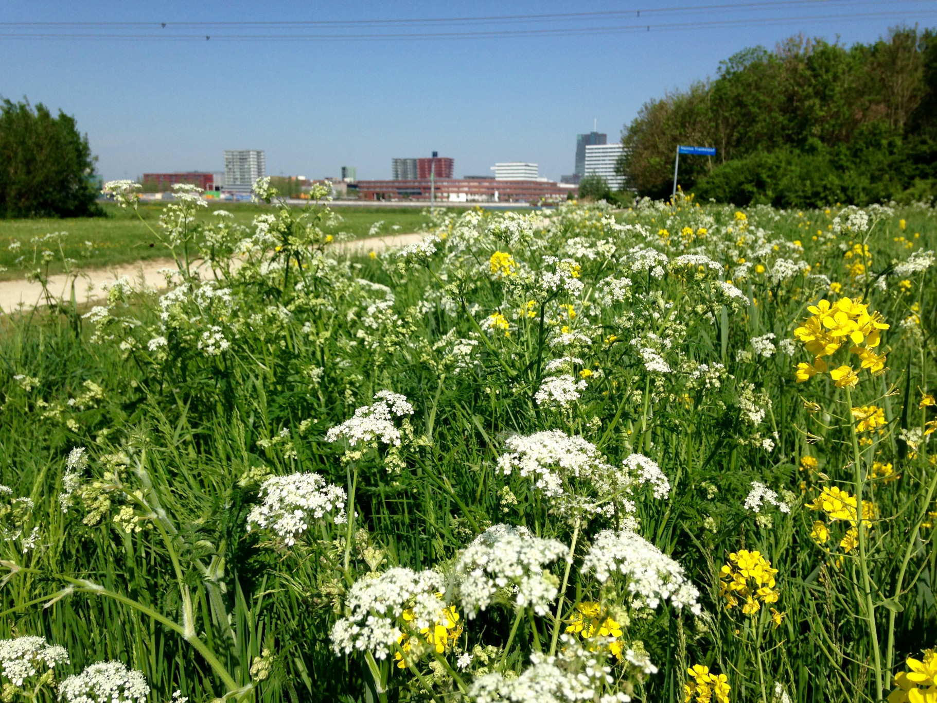 IVN Floriade Natuur Route